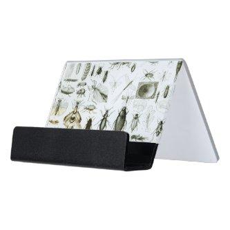Entomology Insects Desk  Holder
