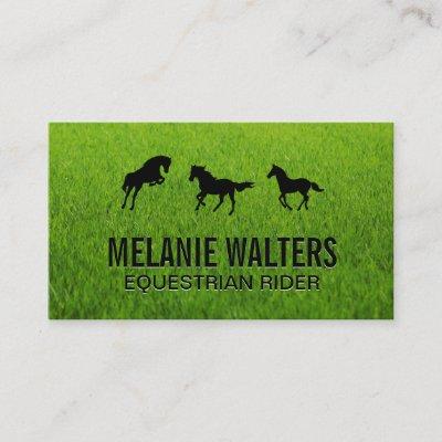 Equestrian Horse Services