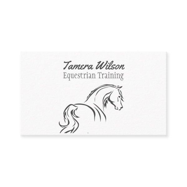 Equestrian Horse Training Service