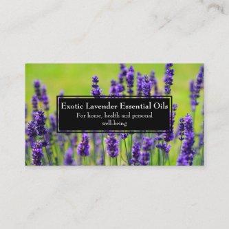 Essential Oils Business Wellness Holistic Lavender