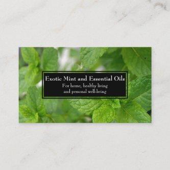 Essential Oils Business Wellness Holistic Mint