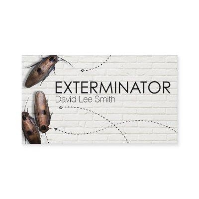 Esterminator pest control