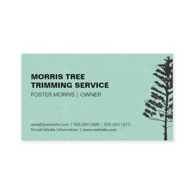 Evergreen Tree | Green Texture Background