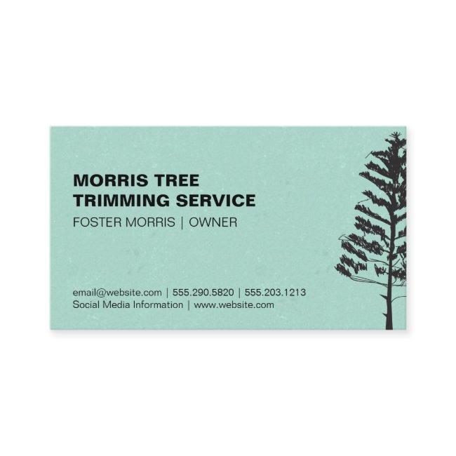 Evergreen Tree | Green Texture Background