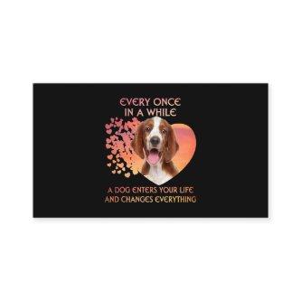 Every Once In A While A Welsh Springer Spaniel Ent