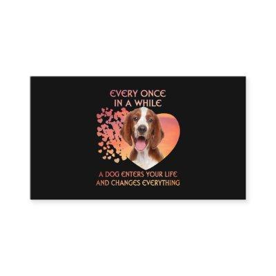 Every Once In A While A Welsh Springer Spaniel Ent
