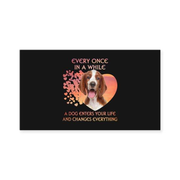 Every Once In A While A Welsh Springer Spaniel Ent