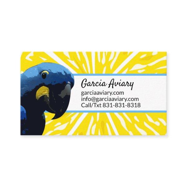 Exotic Bird Breeder Parrot Aviary Hyacinth Macaw