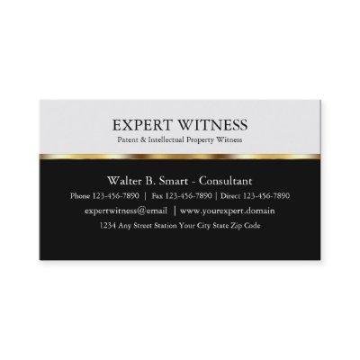 Expert Witness