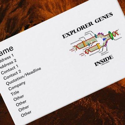 Explorer Genes Inside (DNA Replication)