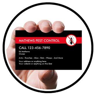 Exterminating Pest Control