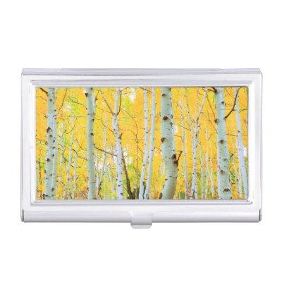 Fall colors of Aspen trees 1  Holder