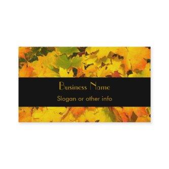 Fall Maple Leaves with Autumn Colors