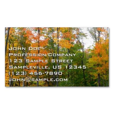 Fall Maple Trees Autumn Nature Photography  Magnet