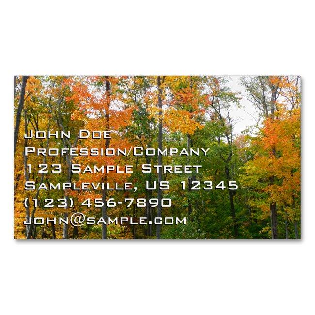 Fall Maple Trees Autumn Nature Photography Magnet