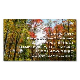 Fall Trees and Blue Sky Autumn Nature Photography  Magnet