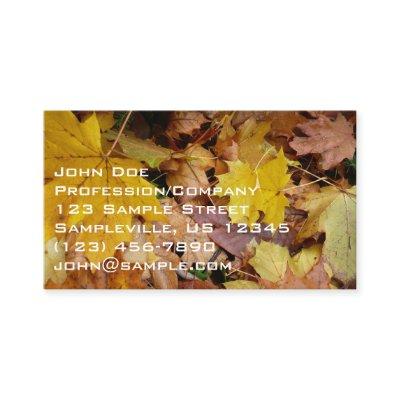 Fallen Maple Leaves Yellow Autumn Nature