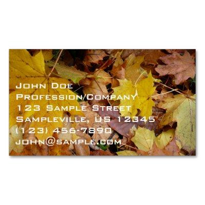 Fallen Maple Leaves Yellow Autumn Nature  Magnet