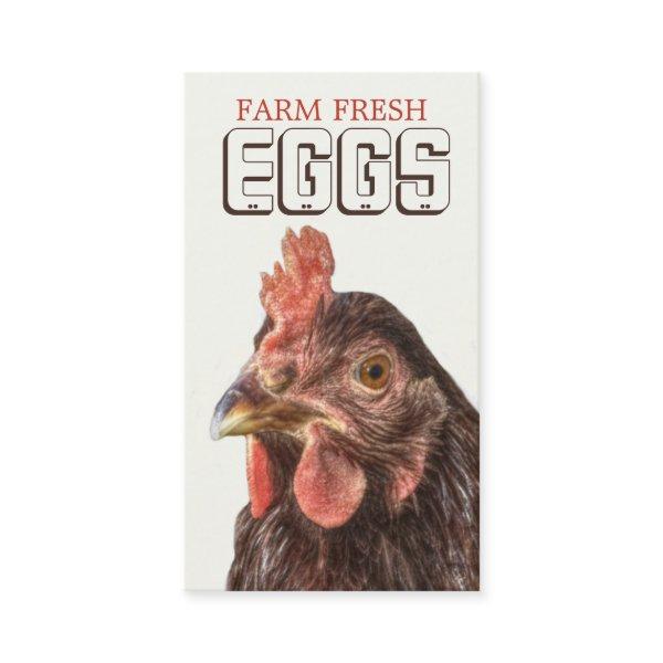 Farm EGGS Heritage Layer Hen