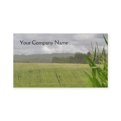 Farm landscape with maize fields