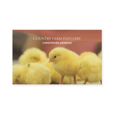 Farm Young Chicken Egg Hatchery Personalized