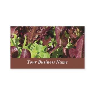 Farming, Produce and Agriculture