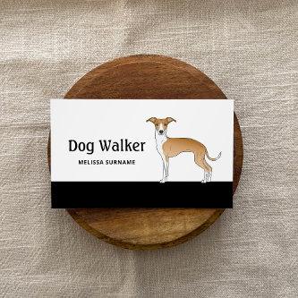 Fawn And White Italian Greyhound - Dog Walker