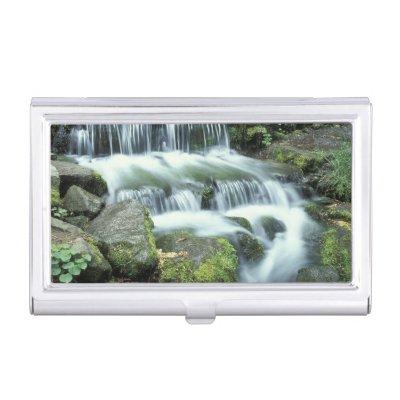 Fern Spring, Yosemite National Park  Case