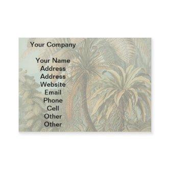 Ferns Palm Tree Antique Botanical Ferns Art