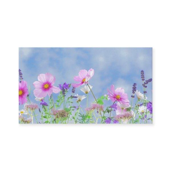 Field of Flowers