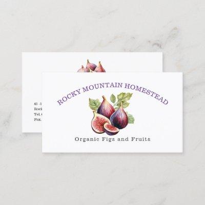 Fig Fruit Organic Botanical Illustration