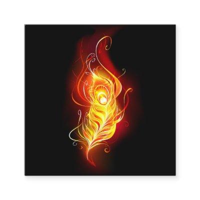 Fire Peacock Feather Discount Card