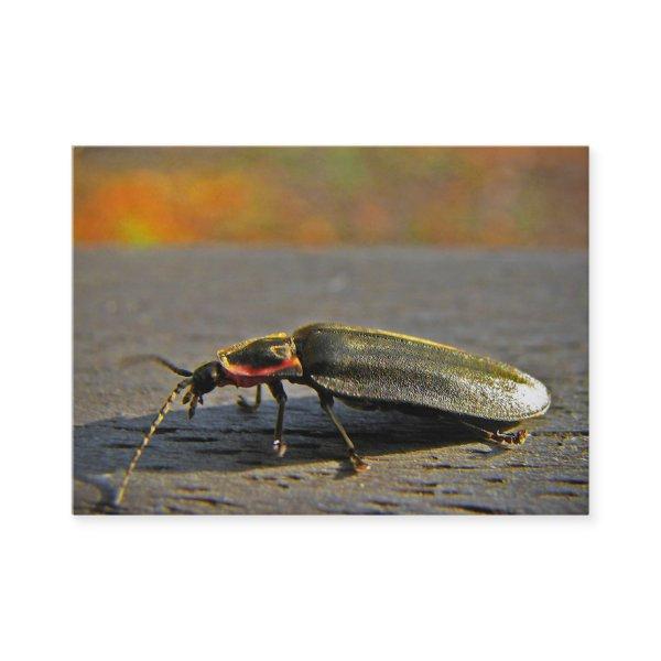 Firefly ATC