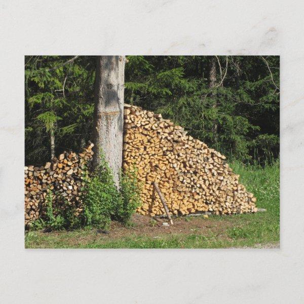 Firewood pile stacked in the forest at summer holiday postcard