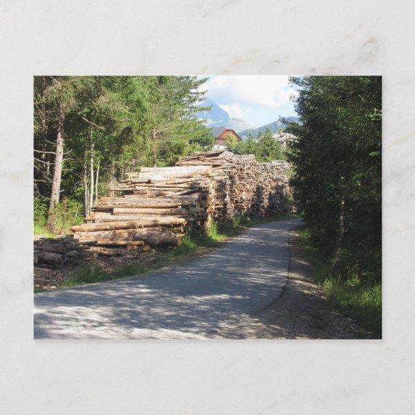 Firewood pile stacked in the forest at summer . So Holiday Postcard
