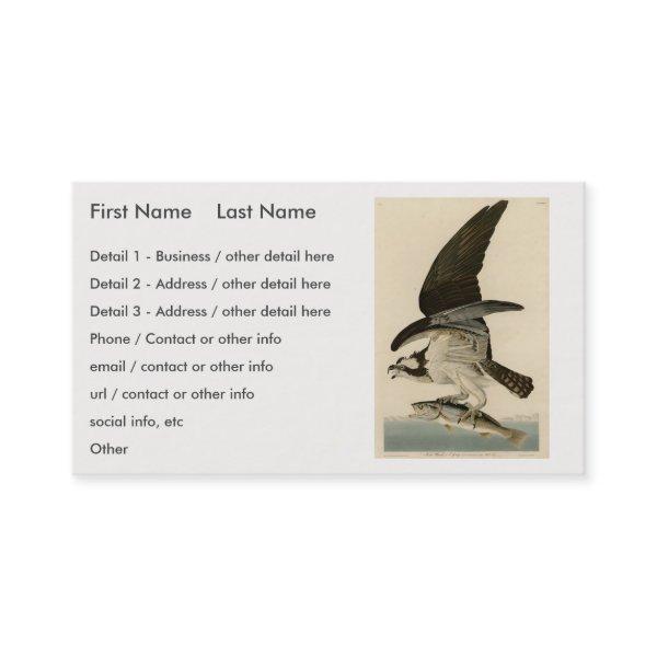 Fish Hawk, Osprey, from Audubon's Birds of America