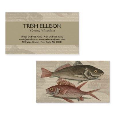 Fish Red Perch Fisherman Art