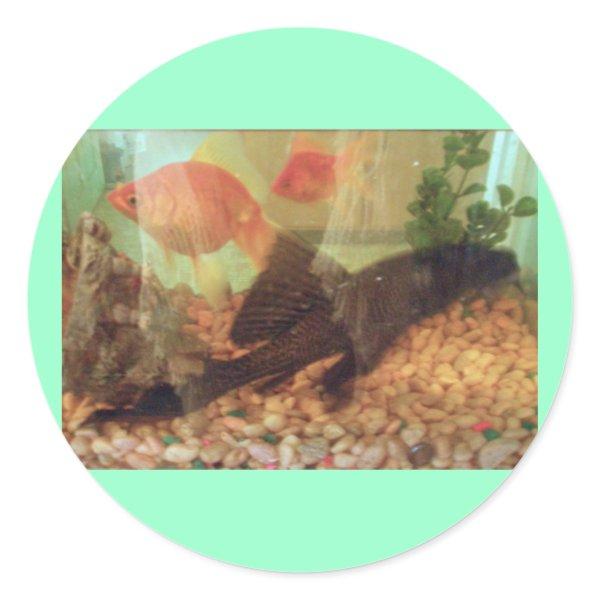 Fish Tank Sticker
