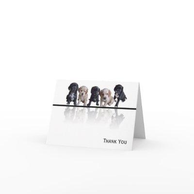 Five Black and Tan Cocker Spaniel Puppies Thank You Card