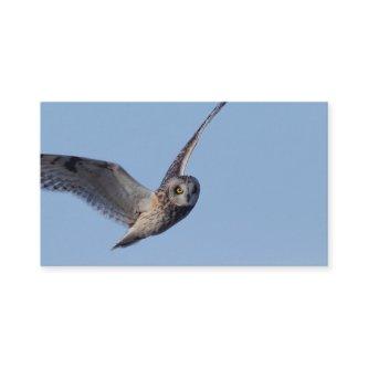 Flight of the Short-Eared Owl