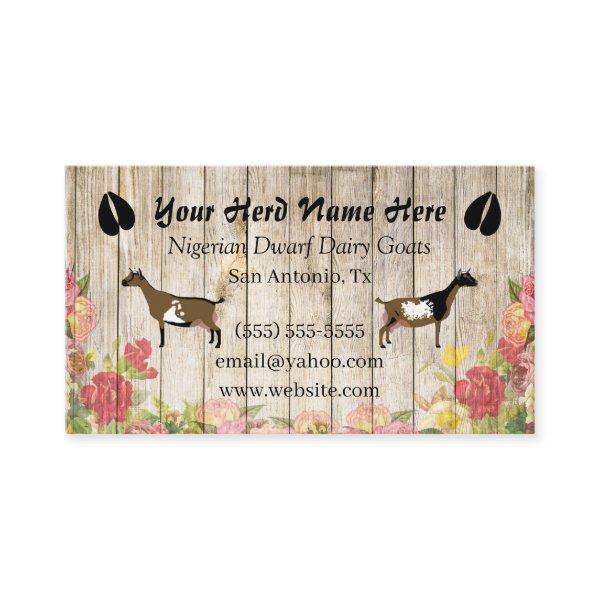 Floral Nigerian Dwarf Dairy Goat