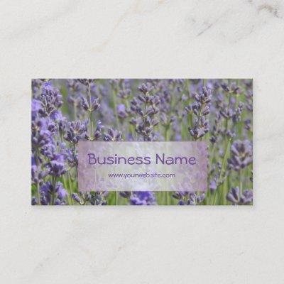 Flower Shop - Lavender fields