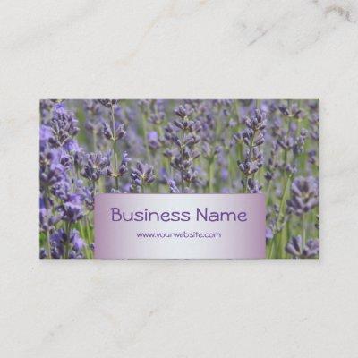 Flower Shop - Lavender fields