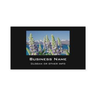 Flowering Lupine New Zealand Landscape