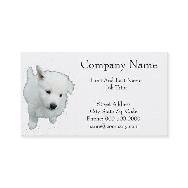 Fluffy White Puppy Photograph