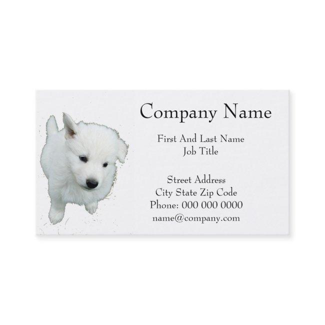 Fluffy White Puppy Photograph