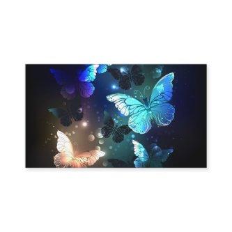 Fluttering Night Butterfly