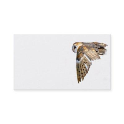 Flying barn owl