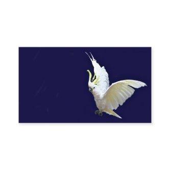 Flying cockatiel