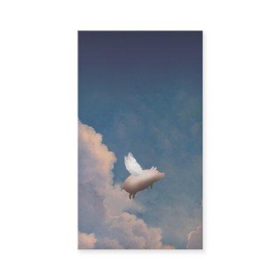 flying pig
